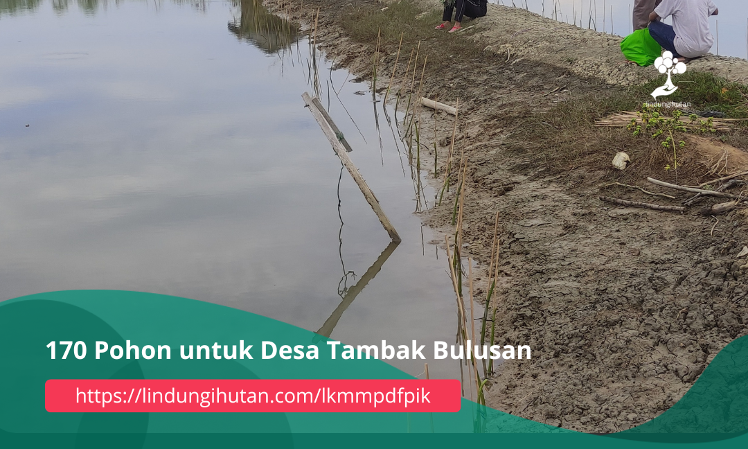 Gambar Kampanye