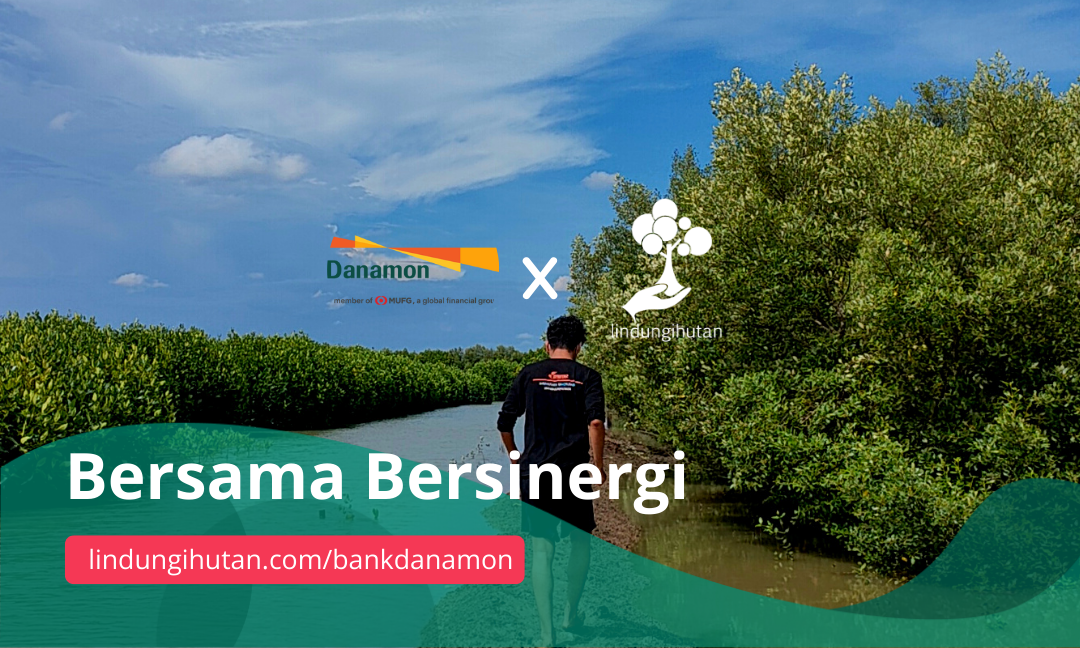 Gambar Kampanye
