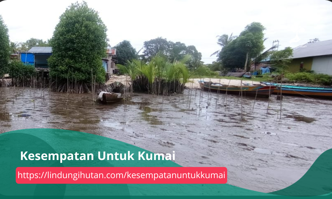 Gambar Kampanye