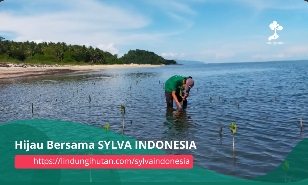 Gambar Kampanye