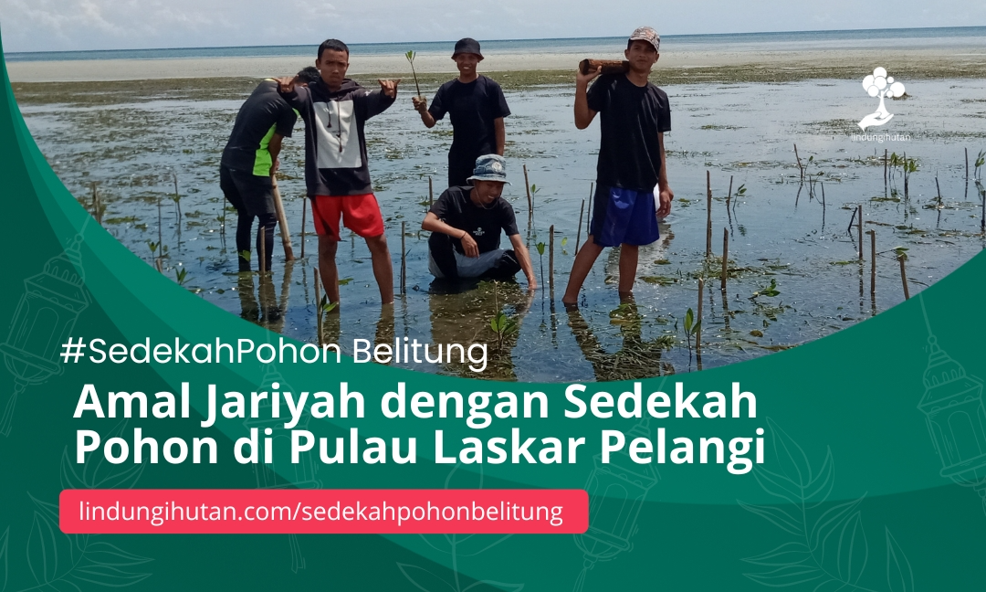 Gambar Kampanye
