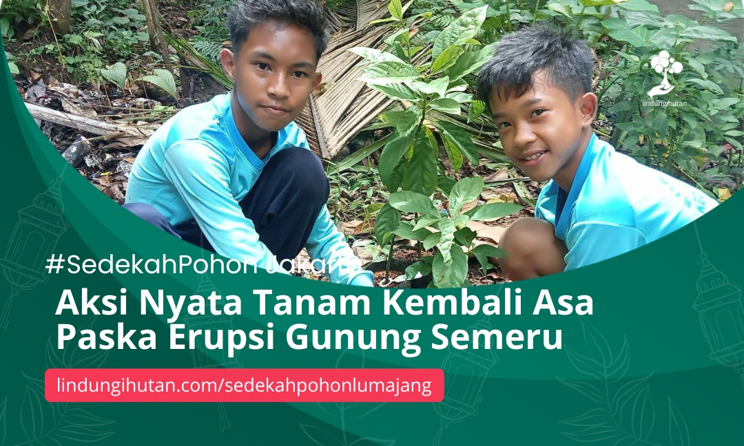 Gambar Kampanye