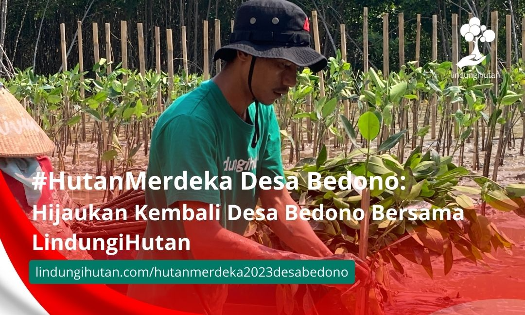 Gambar Kampanye