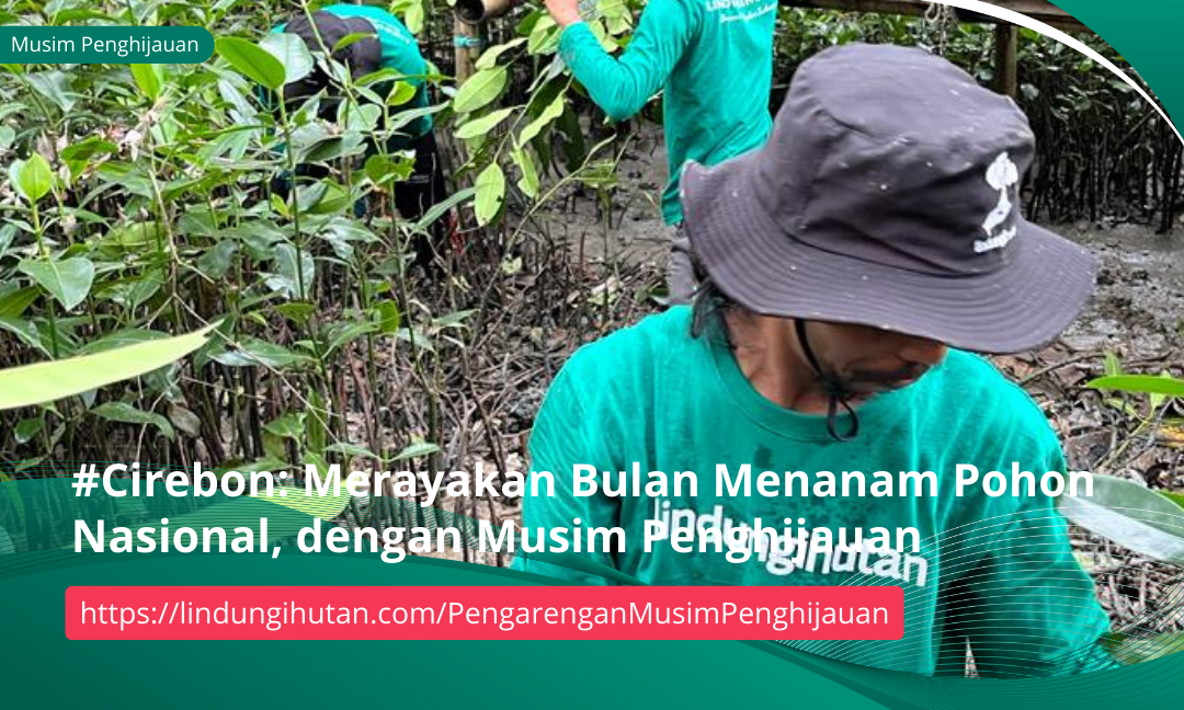 Gambar Kampanye