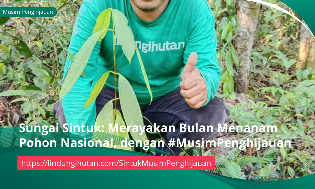Gambar Kampanye