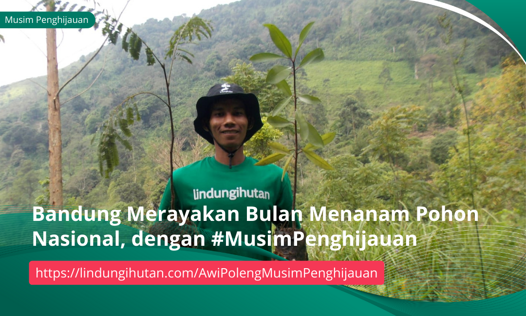 Gambar Kampanye