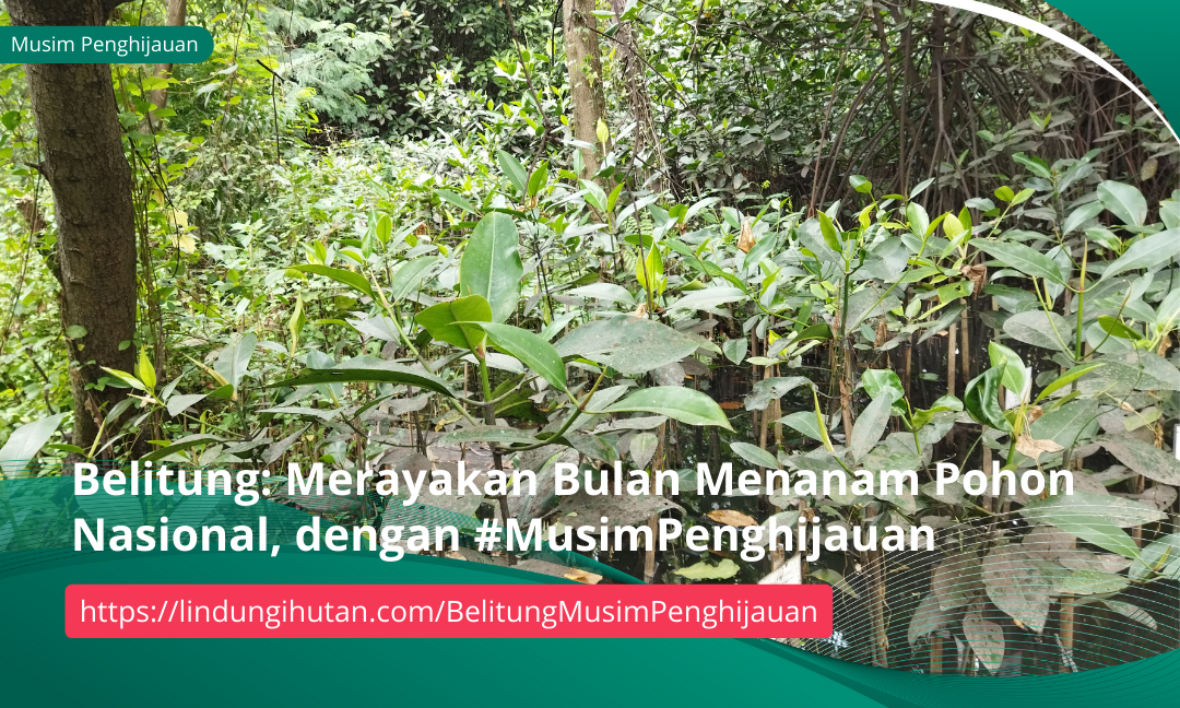 Gambar Kampanye