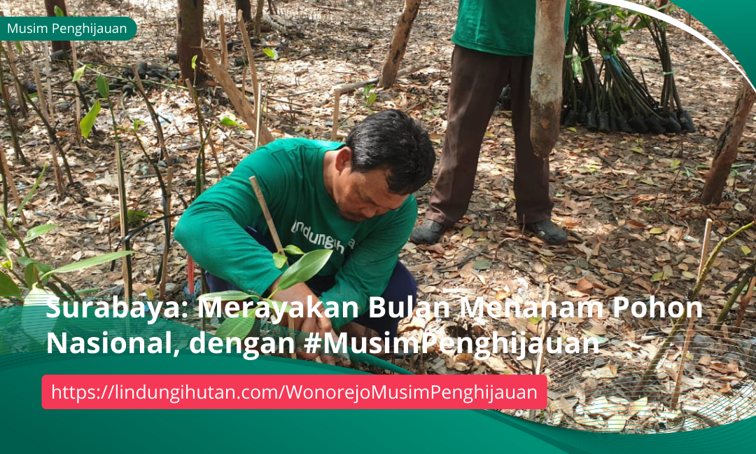 Gambar Kampanye
