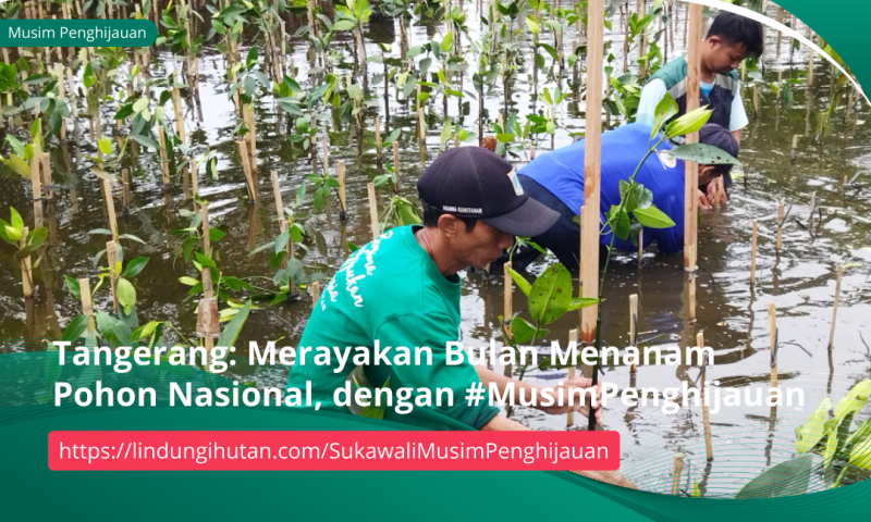 Gambar Kampanye