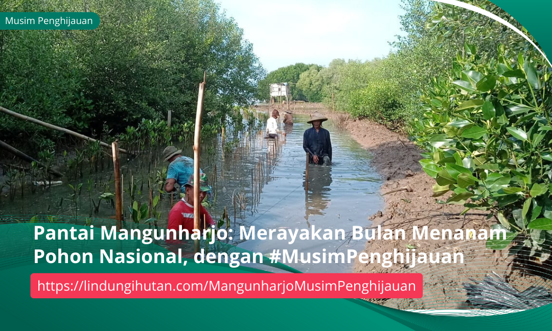 Gambar Kampanye