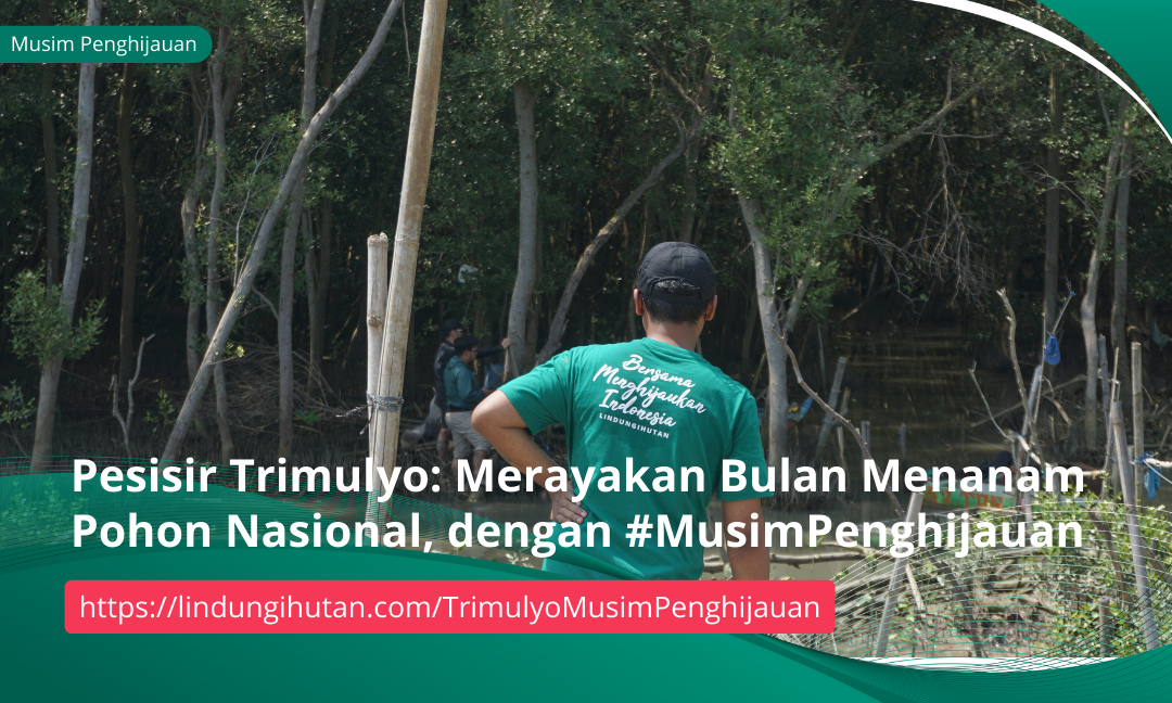 Gambar Kampanye