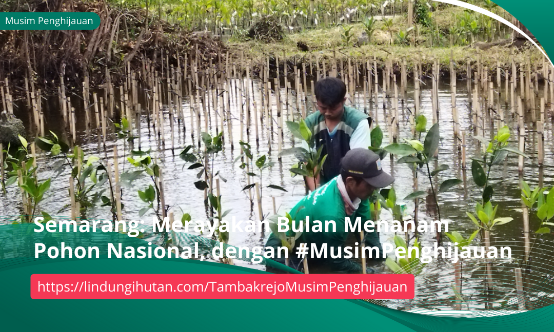 Gambar Kampanye