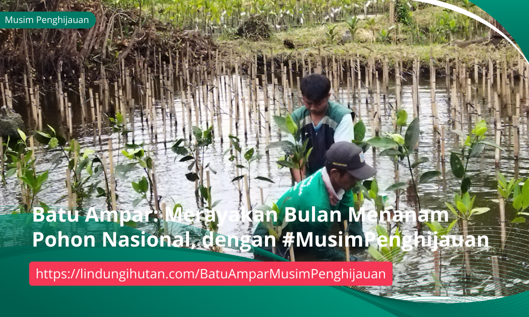 Gambar Kampanye
