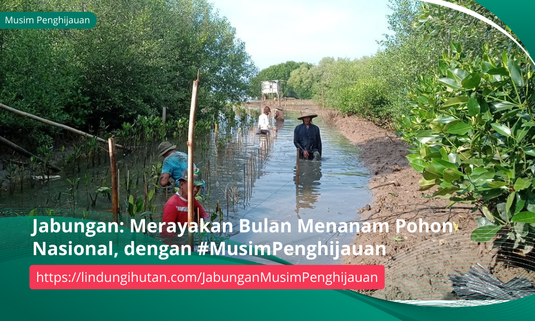 Gambar Kampanye