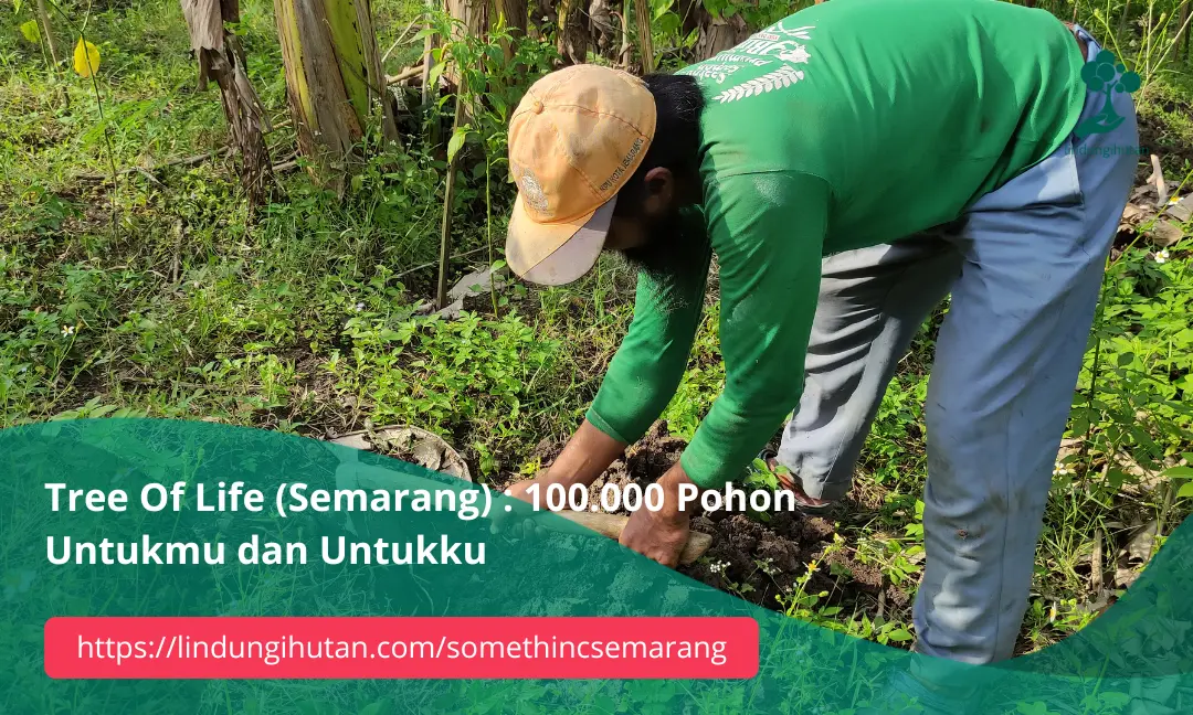 Gambar Kampanye