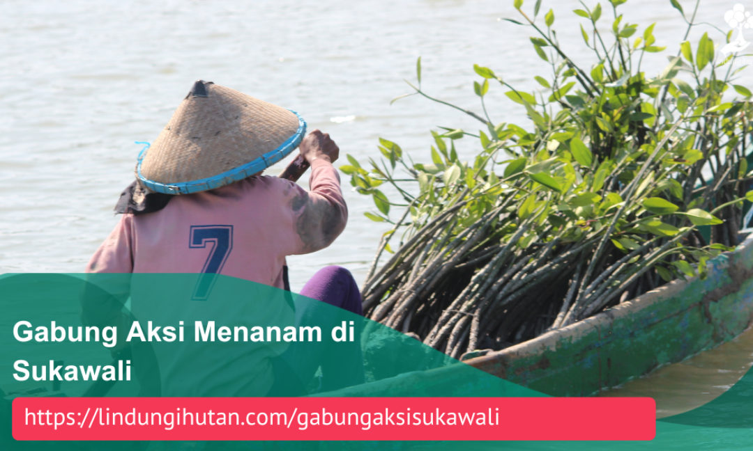 Gambar Kampanye