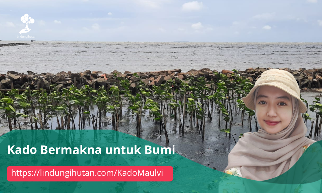 Gambar Kampanye