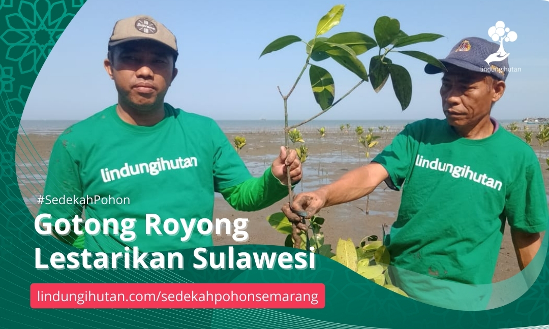 Gambar Kampanye