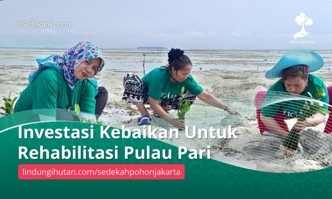 Gambar Kampanye