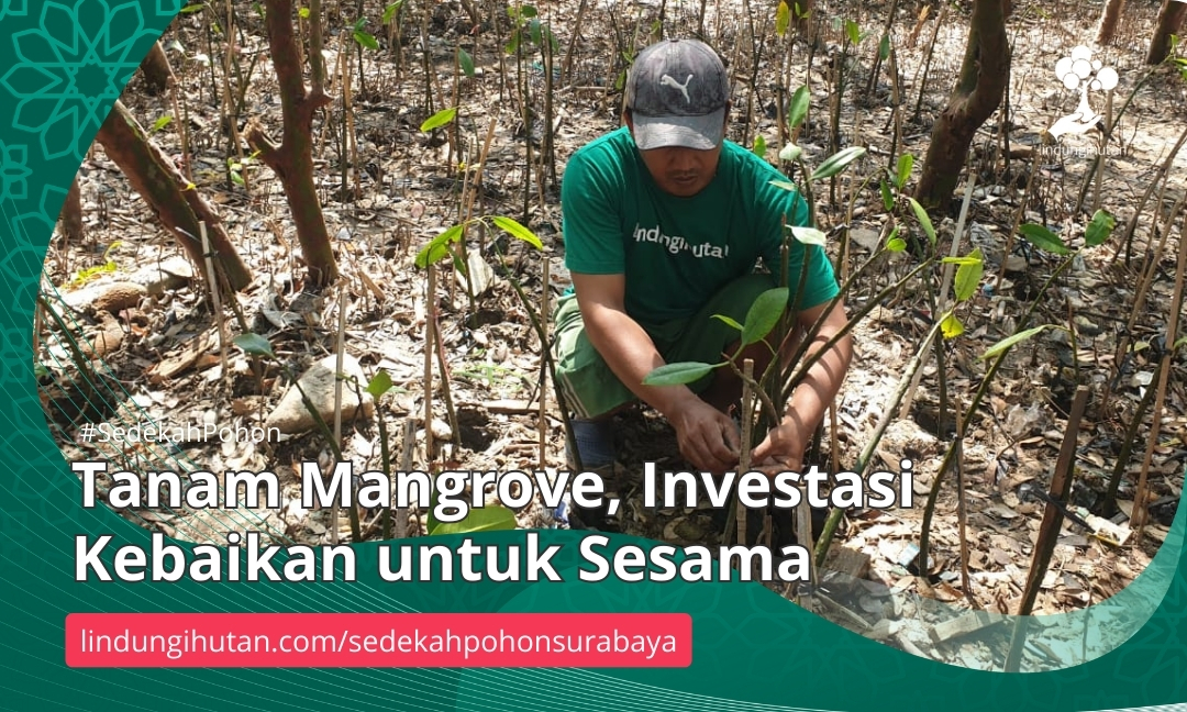 Gambar Kampanye