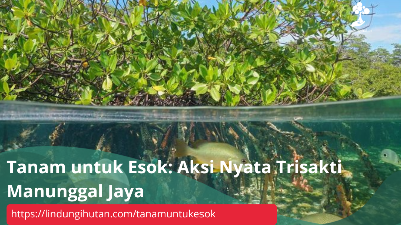 Gambar Kampanye