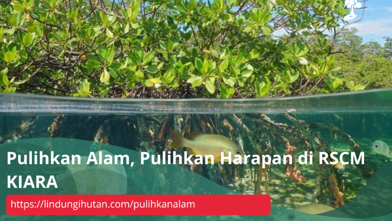 Gambar Kampanye