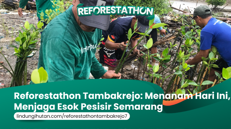 Gambar Kampanye
