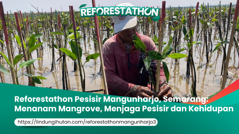 Gambar Kampanye