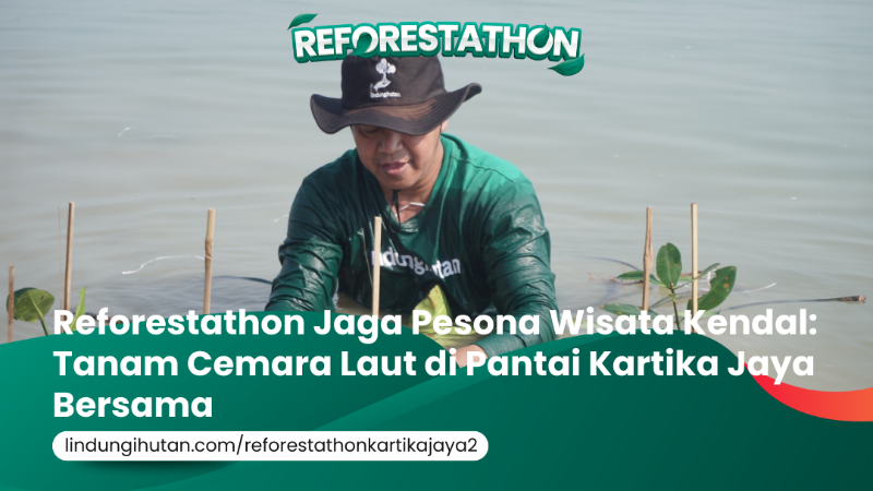 Gambar Kampanye