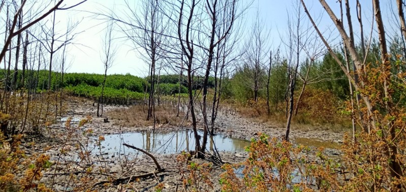 Gambar Kampanye