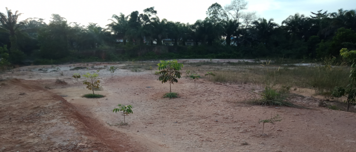 Gambar Kampanye