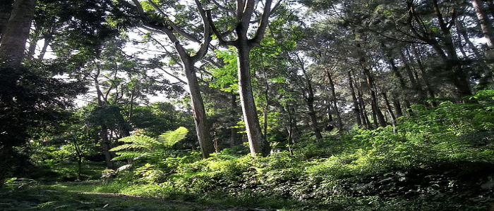 Gambar Kampanye