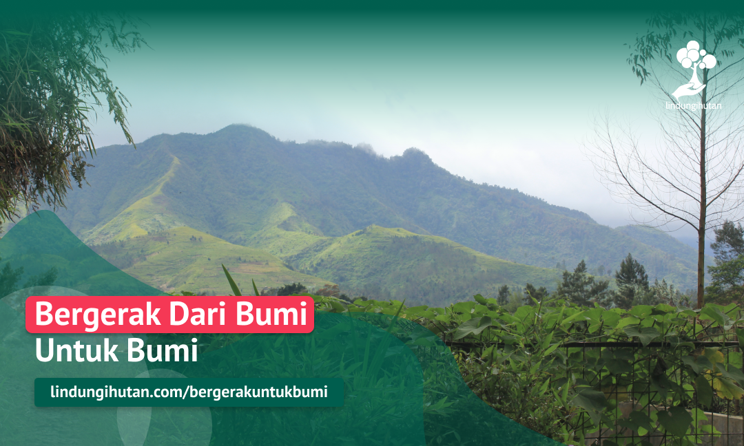 Gambar Kampanye