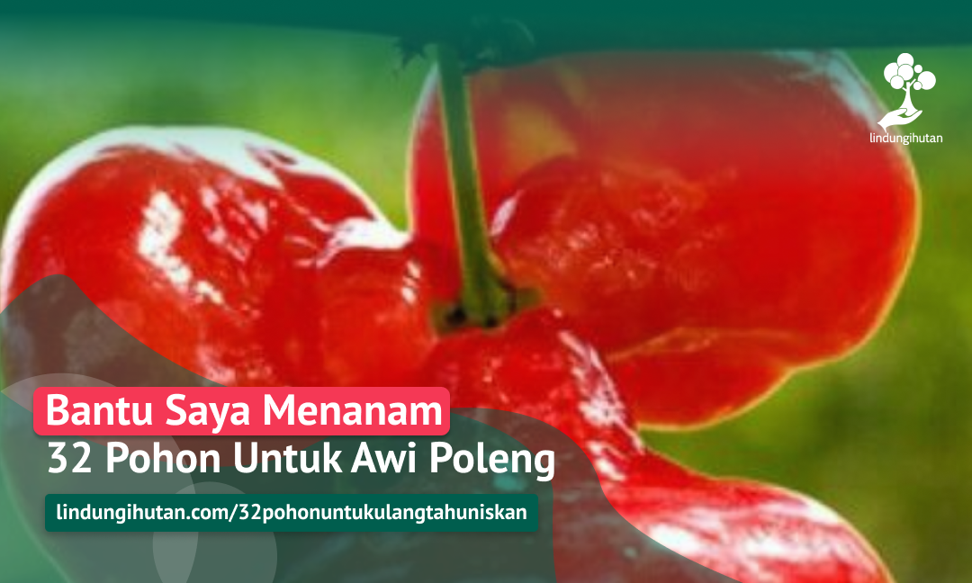 Gambar Kampanye