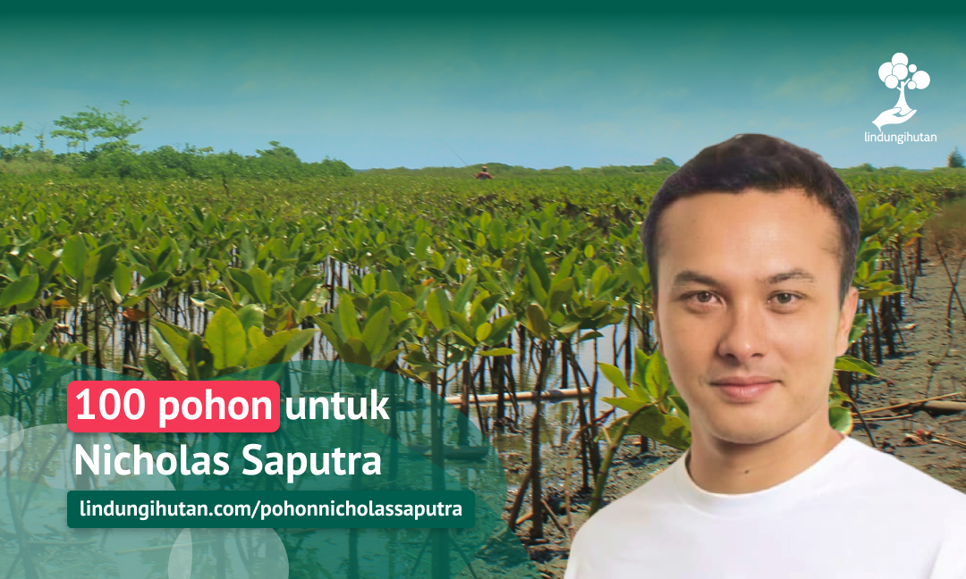 Gambar Kampanye