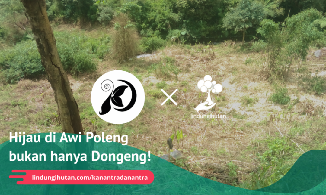 Gambar Kampanye