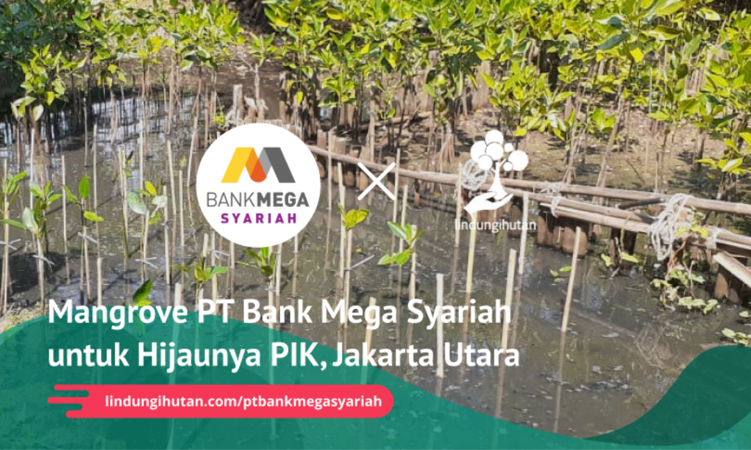 Gambar Kampanye