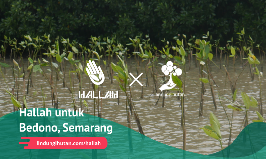 Gambar Kampanye