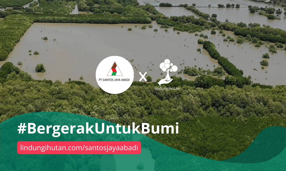 Gambar Kampanye