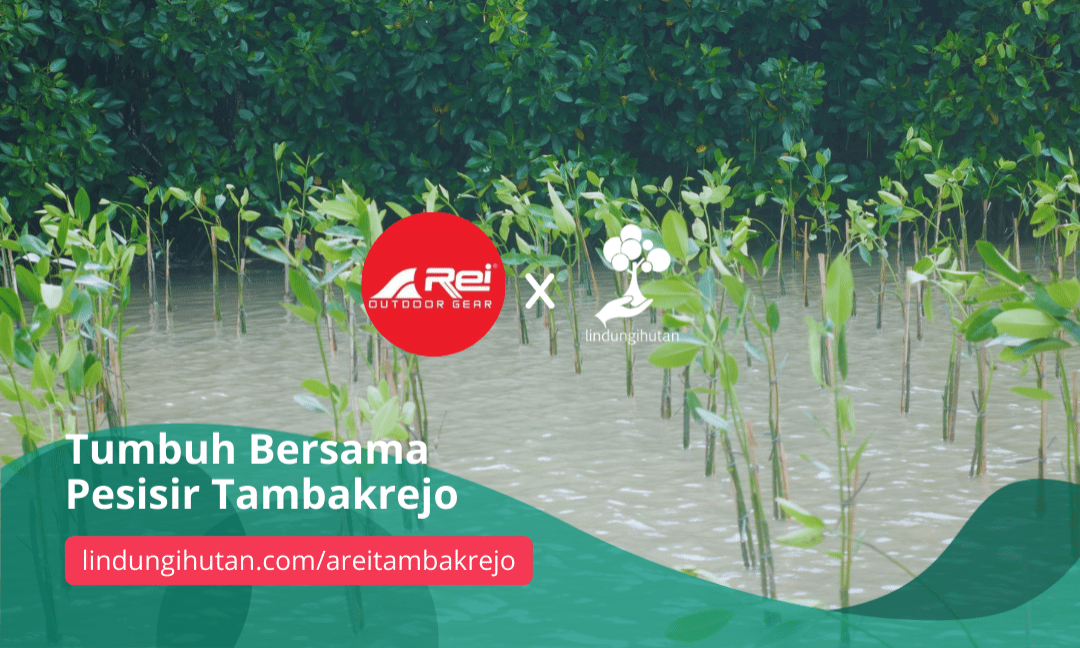 Gambar Kampanye
