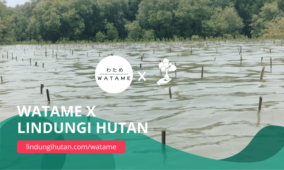 Gambar Kampanye