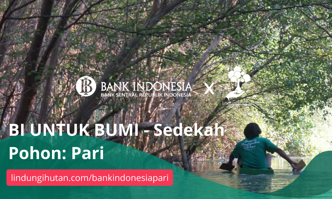 Gambar Kampanye