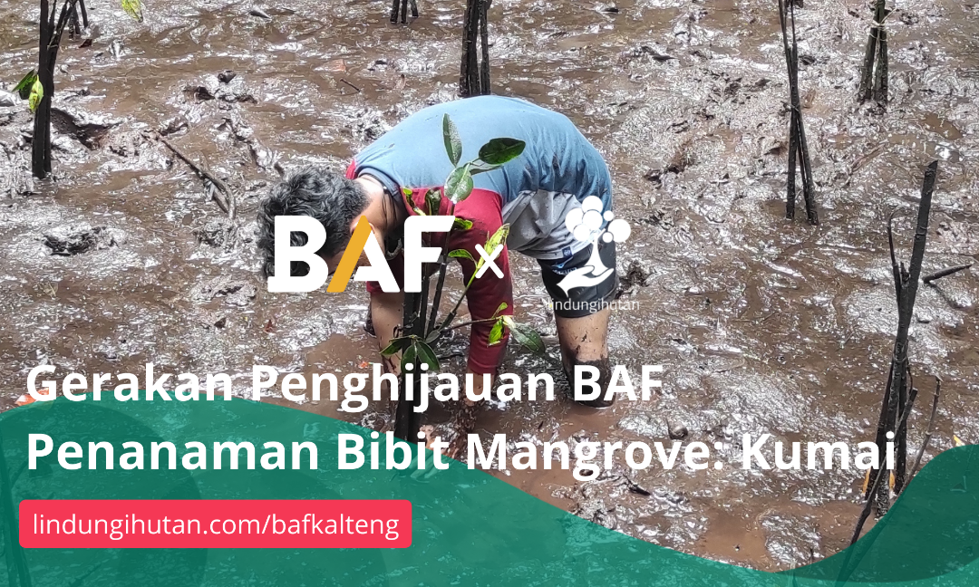 Gambar Kampanye