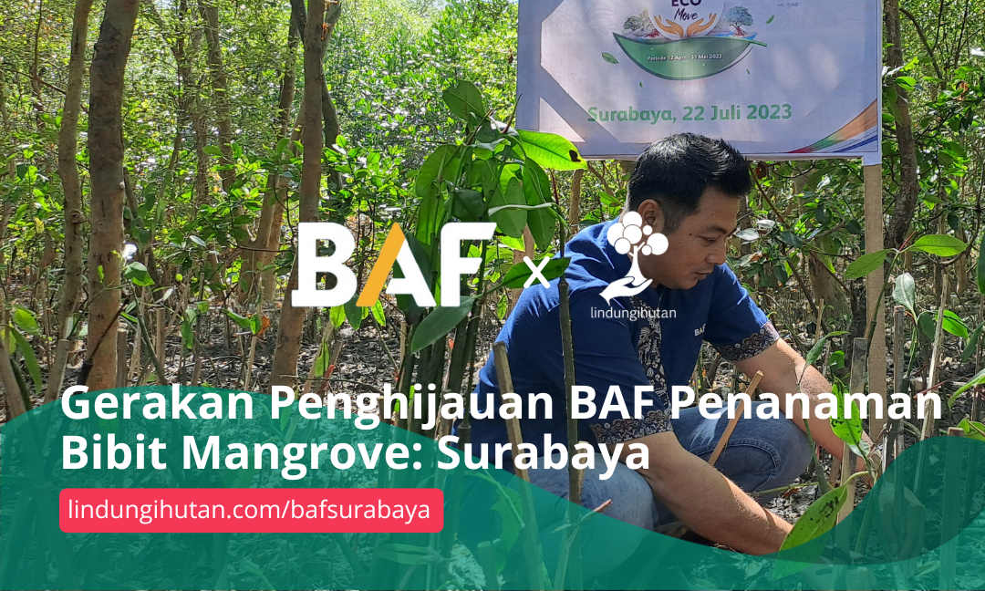 Gambar Kampanye