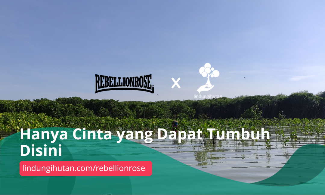 Gambar Kampanye