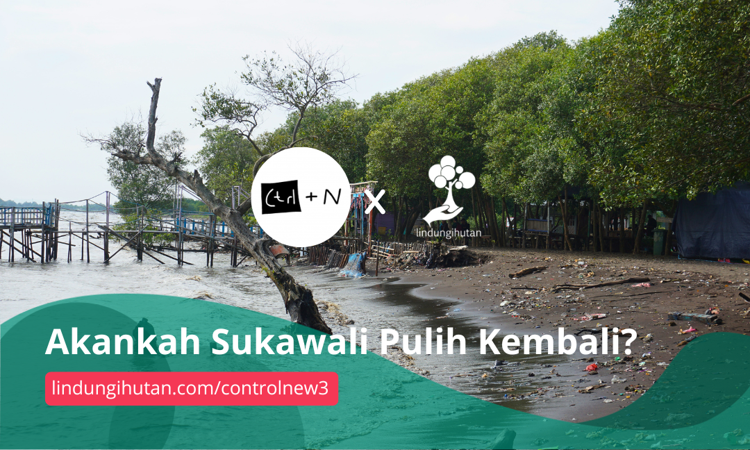 Gambar Kampanye