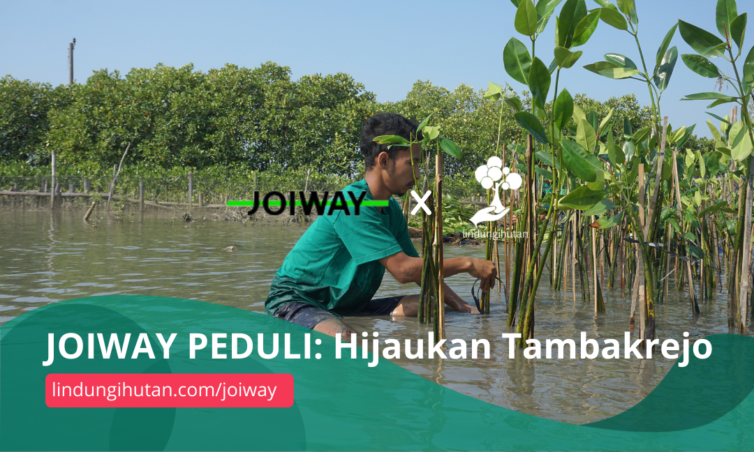 Gambar Kampanye