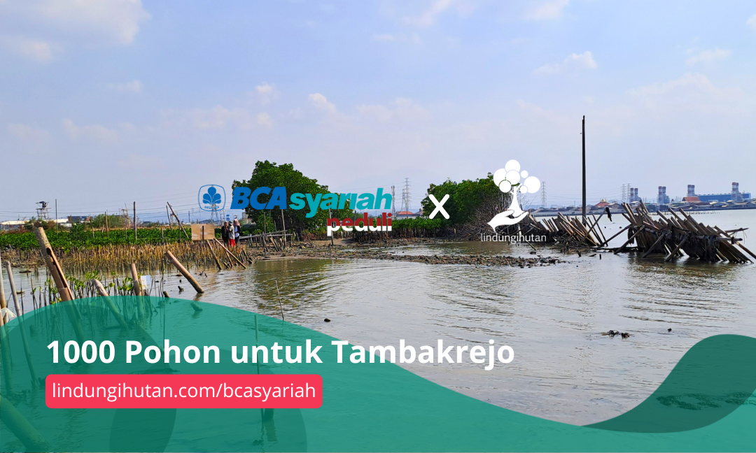 Gambar Kampanye