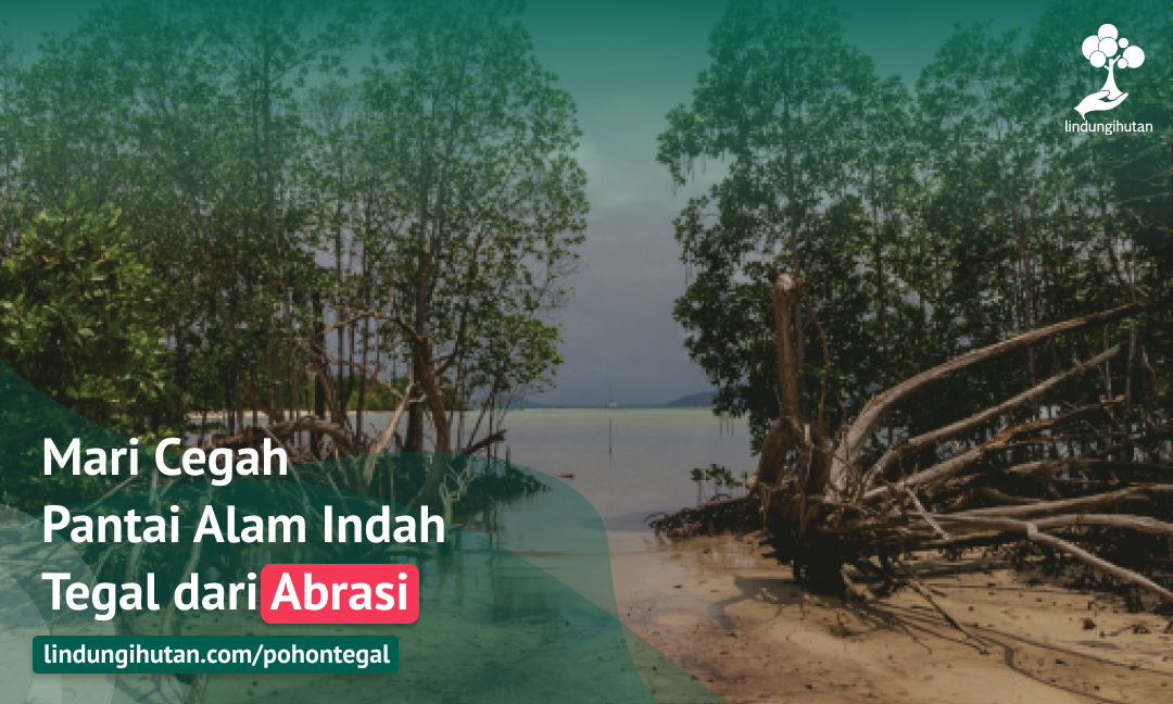 Gambar Kampanye