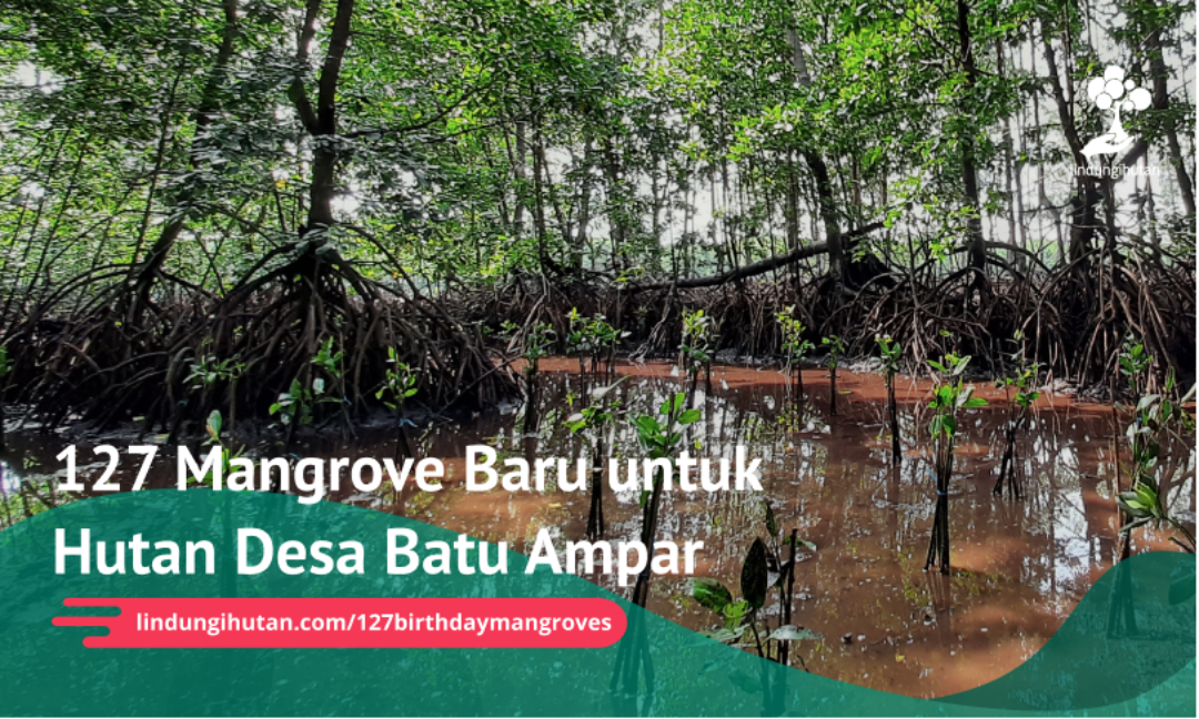 Gambar Kampanye